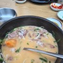 평택 설렁탕 맛집 '수설옥' 후기 🍲