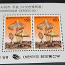 싸리목장 이미지