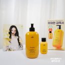 올리브영 약산성 샴푸 추천 아도르 퍼퓸 헤어 단백질 샴푸