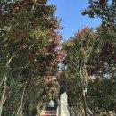 동백크리닝 | [제주 서귀포] 숙소추천 유앤아이제주 : 동백꽃 산책길과 프라이빗 자쿠지가 있는 서귀포 독채 펜션/풀빌라