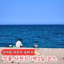 (주)율곡관광 | 강릉 1박2일 아이랑 여행 코스 초등학생과 다녀온 알찬 일정 추천