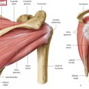 이즈메디의원 이미지