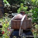 성읍민속마을 이미지