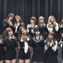 큐리어스 Daum카페