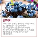 먹자푸드 이미지