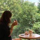 신스포레스트 이미지