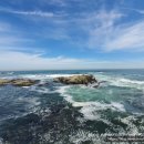 몽산포치킨 이미지