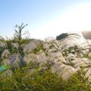 부여하늘농장 이미지