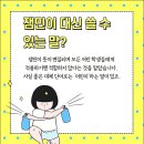 잼민이네 이미지