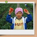 명훈농장 이미지