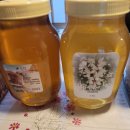 박종갑농장 이미지