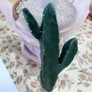 다육이공방 이미지