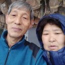 민들레장 이미지