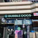 버블독스 가정루원시티점 | 가정동 루원시티 애견 셀프목욕 버블독스 강아지 대형견 목욕탕