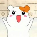 휘트니스 트리 이미지