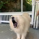 카페덕남 이미지