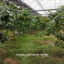 가빈농장 이미지