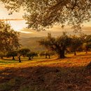 영어교육센터 남측 3가 4 | 2026년 대구 서구 부동산 정보