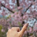 공브레드엔롤