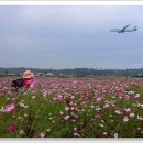 하늘정원3 이미지