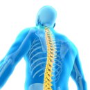 강남마디튼튼의원 이미지