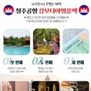 세종여행사 이미지