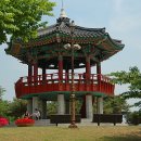 호수공원6로 이미지