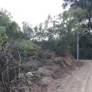 영빈농장 이미지