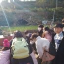 서외경로당 이미지