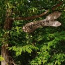 홍계곡민박 이미지