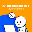 코드디자인 이미지