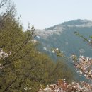 안민고개길 이미지