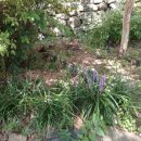 신숭겸장군유적지 이미지