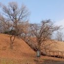 하늘예 태권도 이미지