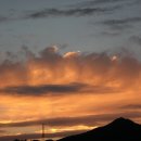 오산10리 Daum카페