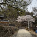 와촌식육식당 동.서변점 | 경산 불굴사 여행 가이드: 역사부터 먹거리까지 한눈에 정리