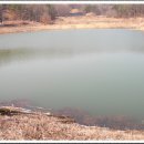 동막동(3) Daum카페
