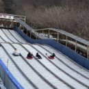 좌구산 휴양랜드 썰매장 이미지