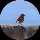 학림마을 이미지