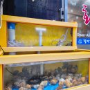 팔딱팔딱회