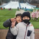 용인대용전태권도 이미지