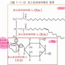 PLC IP3 이미지