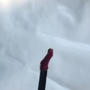 레드우드 | 헤라 센슈얼 립세럼 레드우드 후기 | 쿠팡 할인 구매 MLBB 촉촉립 추천