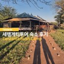 호텔 초원 | 세렝게티 투어 숙소 후기 : 초원 위의 하룻밤, Tanzania Bush Camp 텐티드 롯지 장단점
