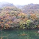 정읍산림조합임산물유통센터