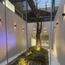 라이트앤굿 | [경기/성남] 판교 분위기 감다살 맛집 ‘다크앤라이트’ 내돈내산 솔직후기 (메뉴추천, 아기랑)