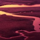 일진내추럴 이미지