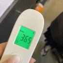 네일37.5 이미지