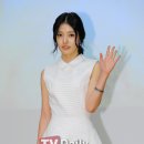 뿌리깊은나무 이미지