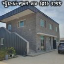 세영식품 이미지